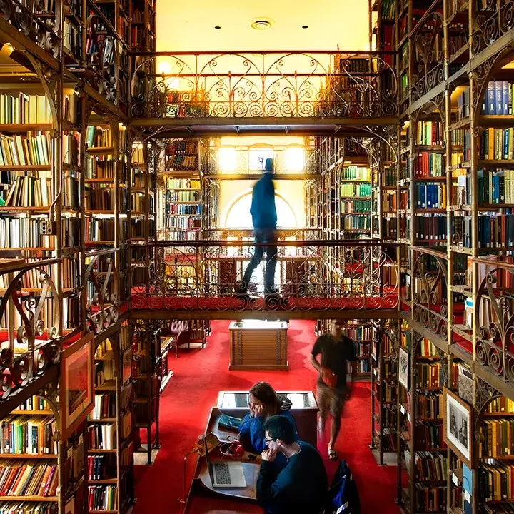 ad-white-library-1280×720